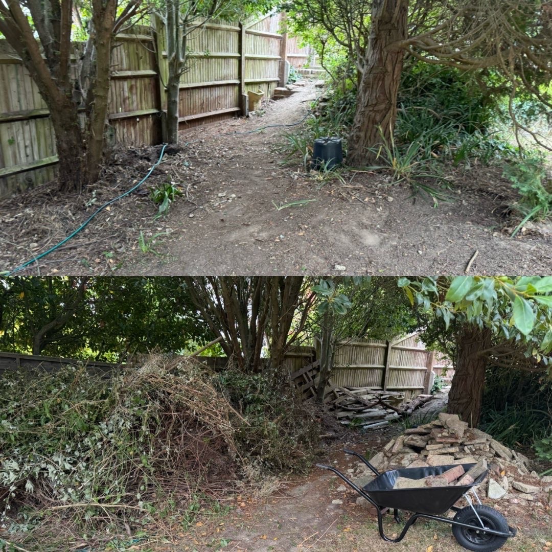 Garden clearance before and after